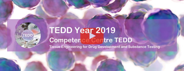 TEDD 2019