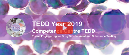 TEDD 2019