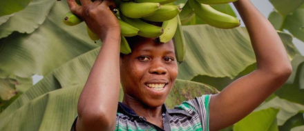 Frau transportiert Bananen auf Kopf